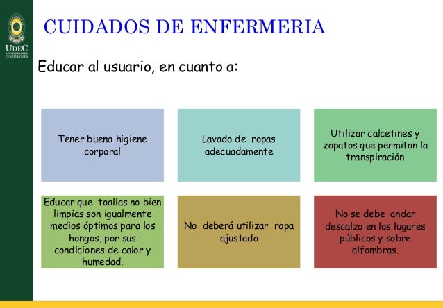 Al hongo pasa la uña