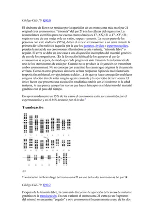 Código CIE-10: Q90.0

El síndrome de Down se produce por la aparición de un cromosoma más en el par 21
original (tres cromosomas: “trisomía” del par 21) en las células del organismo. La
nomenclatura científica para ese exceso cromosómico es 47, XX,+21 o 47, XY,+21;
según se trate de una mujer o de un varón, respectivamente. La mayor parte de las
personas con este síndrome (95%), deben el exceso cromosómico a un error durante la
primera división meiótica (aquella por la que los gametos, óvulos o espermatozoides,
pierden la mitad de sus cromosomas) llamándose a esta variante, “trisomía libre” o
regular. El error se debe en este caso a una disyunción incompleta del material genético
de uno de los progenitores. (En la formación habitual de los gametos el par de
cromosomas se separa, de modo que cada progenitor sólo transmite la información de
uno de los cromosomas de cada par. Cuando no se produce la disyunción se transmiten
ambos cromosomas). No se conocen con exactitud las causas que originan la disyunción
errónea. Como en otros procesos similares se han propuesto hipótesis multifactoriales
(exposición ambiental, envejecimiento celular…) sin que se haya conseguido establecer
ninguna relación directa entre ningún agente causante y la aparición de la trisomía. El
único factor que presenta una asociación estadística estable con el síndrome es la edad
materna, lo que parece apoyar las teorías que hacen hincapié en el deterioro del material
genético con el paso del tiempo.

En aproximadamente un 15% de los casos el cromosoma extra es transmitido por el
espermatozoide y en el 85% restante por el óvulo.4

Translocación




Translocación del brazo largo del cromosoma 21 en uno de los dos cromosomas del par 14.

Código CIE-10: Q90.2

Después de la trisomía libre, la causa más frecuente de aparición del exceso de material
genético es la translocación. En esta variante el cromosoma 21 extra (o un fragmento
del mismo) se encuentra “pegado” a otro cromosoma (frecuentemente a uno de los dos
 