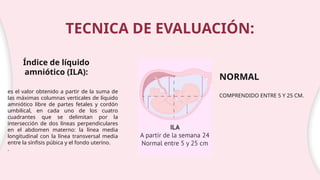 Ila Normal alteraciones del liquido amniotico.ppttt | PPTX