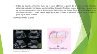 Ila Normal ALTERACIONES DEL LIQUIDO AMNIOTICO abril.pptx