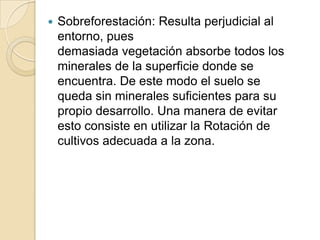    Sobreforestación: Resulta perjudicial al
    entorno, pues
    demasiada vegetación absorbe todos los
    minerales de la superficie donde se
    encuentra. De este modo el suelo se
    queda sin minerales suficientes para su
    propio desarrollo. Una manera de evitar
    esto consiste en utilizar la Rotación de
    cultivos adecuada a la zona.
 