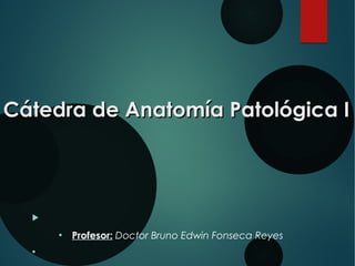 Cátedra de Anatomía Patológica ICátedra de Anatomía Patológica I

●
Profesor: Doctor Bruno Edwin Fonseca Reyes
●
 