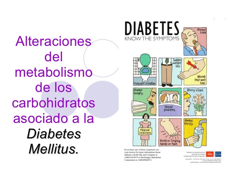 Aprender cómo curé mi Acelerar metabolismo