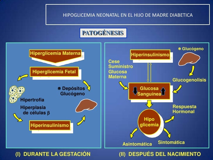 Alteraciones del metabolismo en el recien nacido Alteraciones del metabolismo en el recien nacido