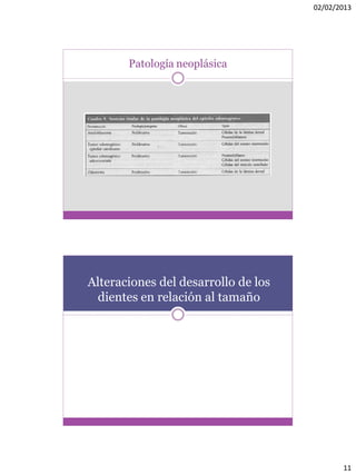 02/02/2013
11
Patología neoplásica
Alteraciones del desarrollo de los
dientes en relación al tamaño
 