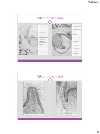 02/02/2013
8
Estado de campana
Estado de campana
 