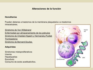 Hereditarias
Pueden deberse a trastornos de la membrana plaquetaria o a trastornos
intracelulares.
Síndrome de Von Willebrand
Enfermedad por almacenamiento de los gránulos
Síndrome de Chediak-Higashi y Hermansky-Pudlak
Trombastenia
Síndrome de Bernard-Soulies
Adquiridas
Síndromes mieloproliferativos
Uremia
Hepatopatías
Escorbuto
Consumo de ácido acetilsalicílico.
Alteraciones de la función
 