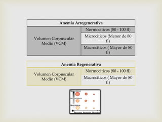 Anemia Arregenerativa
Volumen Corpuscular
Medio (VCM)
Normociticos (80 - 100 fl)
Microciticos (Menor de 80
fl)
Macrociticos ( Mayor de 80
fl)
Anemia Regenerativa
Volumen Corpuscular
Medio (VCM)
Normociticos (80 - 100 fl)
Macrociticos ( Mayor de 80
fl)
 