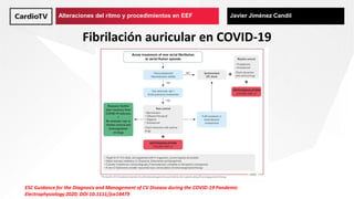 Alteraciones del ritmo y procedimientos en EEF Javier Jiménez Candil
Fibrilación auricular en COVID-19
ESC Guidance for th...