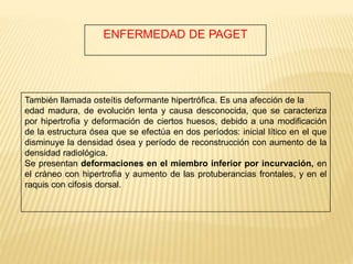 ENFERMEDAD DE PAGET
También llamada osteítis deformante hipertrófica. Es una afección de la
edad madura, de evolución lenta y causa desconocida, que se caracteriza
por hipertrofia y deformación de ciertos huesos, debido a una modificación
de la estructura ósea que se efectúa en dos períodos: inicial lítico en el que
disminuye la densidad ósea y período de reconstrucción con aumento de la
densidad radiológica.
Se presentan deformaciones en el miembro inferior por incurvación, en
el cráneo con hipertrofia y aumento de las protuberancias frontales, y en el
raquis con cifosis dorsal.
 