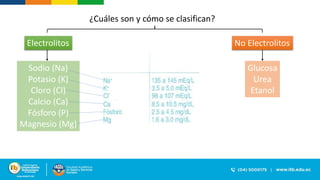 ¿Cuáles son y cómo se clasifican?
Electrolitos No Electrolitos
Sodio (Na)
Potasio (K)
Cloro (Cl)
Calcio (Ca)
Fósforo (P)
Magnesio (Mg)
Glucosa
Urea
Etanol
 