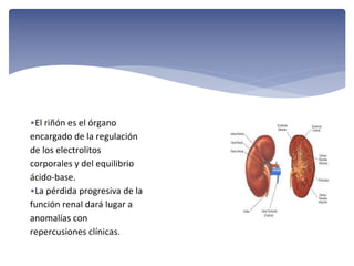 •El riñón es el órgano 
encargado de la regulación 
de los electrolitos 
corporales y del equilibrio 
ácido‐base.
•La pérdida progresiva de la 
función renal dará lugar a 
anomalías con 
repercusiones clínicas.

 