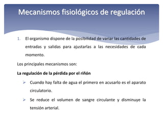 Mecanismos fisiológicos de regulación
1.

El organismo dispone de la posibilidad de variar las cantidades de 
entradas  y  salidas  para  ajustarlas  a  las  necesidades  de  cada 
momento.

Los principales mecanismos son:
La regulación de la pérdida por el riñón
 Cuando hay falta de agua el primero en acusarlo es el aparato 
circulatorio.
 Se  reduce  el  volumen  de  sangre  circulante  y  disminuye  la 
tensión arterial.

 