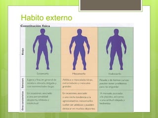 Habito externo
 