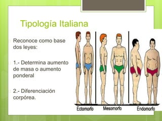 Tipología Italiana
 Reconoce como base
dos leyes:
 1.- Determina aumento
de masa o aumento
ponderal
 2.- Diferenciación
corpórea.
 