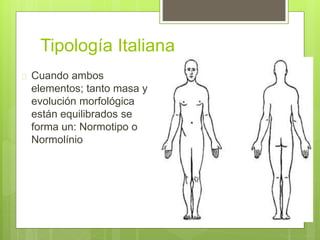 Tipología Italiana
 Cuando ambos
elementos; tanto masa y
evolución morfológica
están equilibrados se
forma un: Normotipo o
Normolínio
 