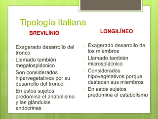 Tipología Italiana
BREVILÍNIO
 Exagerado desarrollo del
tronco
 Llamado también
megalosplácnico
 Son considerados
hipervegetativos por su
desarrollo del tronco
 En estos sujetos
predomina el anabolismo
y las glándulas
endócrinas
LONGILÍNEO
 Exagerado desarrollo de
los miembros
 Llamado también
microsplácnico
 Considerados
hipovegetativos porque
destacan sus miembros
 En estos sujetos
predomina el catabolismo
 