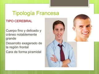 Tipología Francesa
 TIPO CEREBRAL
 Cuerpo fino y delicado y
cráneo notablemente
grande
 Desarrollo exagerado de
la región frontal
 Cara de forma piramidal
 