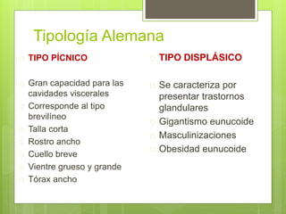 Tipología Alemana
 TIPO PÍCNICO
 Gran capacidad para las
cavidades viscerales
 Corresponde al tipo
brevilíneo
 Talla corta
 Rostro ancho
 Cuello breve
 Vientre grueso y grande
 Tórax ancho
 TIPO DISPLÁSICO
 Se caracteriza por
presentar trastornos
glandulares
 Gigantismo eunucoide
 Masculinizaciones
 Obesidad eunucoide
 