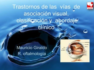 Trastornos de las vías de
asociación visual,
clasificación y abordaje
clínico
Mauricio Giraldo
R. oftalmología
 