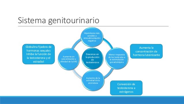 Alteraciones fisiologicas del envejecimiento Alteraciones fisiologicas del envejecimiento