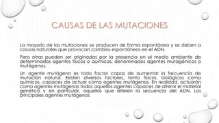 CAUSAS DE LAS MUTACIONES
La mayoría de las mutaciones se producen de forma espontánea y se deben a
causas naturales que provocan cambios espontáneos en el ADN.
Pero otras pueden ser originadas por la presencia en el medio ambiente de
determinados agentes físicos o químicos, denominados agentes mutagénicos o
mutágenos.
Un agente mutágeno es todo factor capaz de aumentar la frecuencia de
mutación natural. Existen diversos factores, tanto físicos, biológicos como
químicos, capaces de actuar como agentes mutágenos. En realidad, actuarán
como agentes mutágenos todos aquellos agentes capaces de alterar el material
genético y en particular, aquellos que alteren la secuencia del ADN. Los
principales agentes mutágenos
 