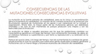 CONSECUENCIAS DE LAS
MUTACIONES:CONSECUENCIAS EVOLUTIVAS
La mutación es la fuente primaria de variabilidad, pero no la única. La recombinación
génica incrementa la variabilidad. La mayoría de los cambios evolutivos se producen por
acumulación gradual de mutaciones en los genes y por variaciones en su número y
organización. Ahora bien, la mayor parte de las mutaciones génicas son deletéreas
(mortales) y las que se han mantenido es porque producen una mejora y son las
esenciales para la evolución.
La evolución se debe a aquellos procesos por los que las poblaciones cambian sus
características genéticas a lo largo del tiempo. Una combinación favorable de alelos en
un individuo favorece su supervivencia y por tanto su reproducción y su extensión en la
población.
Parece ser que los seres, a lo largo del tiempo, han ido aumentando la cantidad de genes
(duplicaciones) lo que ha supuesto que sobre estos genes duplicados pudieran generarse
mutaciones con un menor riesgo y favorecer el proceso de creación de variabilidad.
 