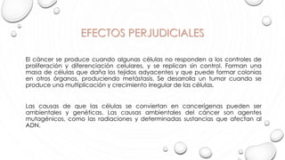 EFECTOS PERJUDICIALES
El cáncer se produce cuando algunas células no responden a los controles de
proliferación y diferenciación celulares, y se replican sin control. Forman una
masa de células que daña los tejidos adyacentes y que puede formar colonias
en otros órganos, produciendo metástasis. Se desarrolla un tumor cuando se
produce una multiplicación y crecimiento irregular de las células.
Las causas de que las células se conviertan en cancerígenas pueden ser
ambientales y genéticas. Las causas ambientales del cáncer son agentes
mutagénicos, como las radiaciones y determinadas sustancias que afectan al
ADN.
 