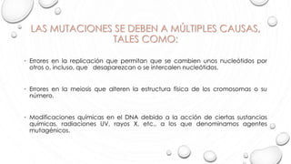 LAS MUTACIONES SE DEBEN A MÚLTIPLES CAUSAS,
TALES COMO:
• Errores en la replicación que permitan que se cambien unos nucleótidos por
otros o, incluso, que desaparezcan o se intercalen nucleótidos.
• Errores en la meiosis que alteren la estructura física de los cromosomas o su
número.
• Modificaciones químicas en el DNA debido a la acción de ciertas sustancias
químicas, radiaciones UV, rayos X, etc., a los que denominamos agentes
mutagénicos.
 