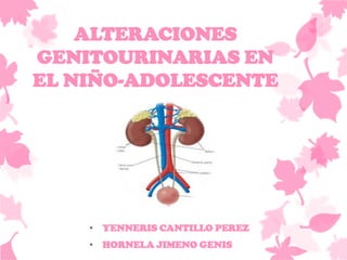 ALTERACIONES
GENITOURINARIAS EN
EL NIÑO-ADOLESCENTE




    • YENNERIS CANTILLO PEREZ
    • HORNELA JIMENO GENIS
 
