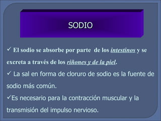 SODIO El sodio se absorbe por parte  de los  intestinos  y se excreta a través de los  riñones y de la piel . La sal en forma de cloruro de sodio es la fuente de sodio más común. Es necesario para la contracción muscular y la transmisión del impulso nervioso. 