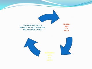 MUJER:
   NACIMIENTO:70-75%
                                   50%
DISMINUYE 1 KG. POR CADA
                                    ES
   DECADA DE LA VIDA.
                                  AGUA




                       HOMBRE:
                         60%
                          ES
                        AGUA
 