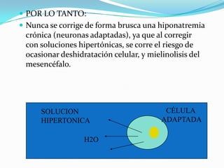  POR LO TANTO:
 Nunca se corrige de forma brusca una hiponatremia
 crónica (neuronas adaptadas), ya que al corregir
 con soluciones hipertónicas, se corre el riesgo de
 ocasionar deshidratación celular, y mielinolisis del
 mesencéfalo.




      SOLUCION                            CÉLULA
      HIPERTONICA                        ADAPTADA

                  H2O
 