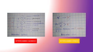 INTERCAMBIO QUÍMICO INTERCAMBIO IÓNICO
 