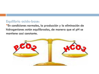 Equilibrio acido-base:

•En condiciones normales, la producción y la eliminación de
hidrogeniones están equilibradas, de manera que el pH se
mantiene casi constante.

 