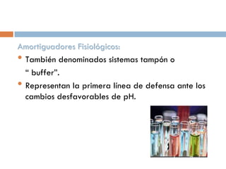 Amortiguadores Fisiológicos:
• También denominados sistemas tampón o
“ buffer”.
• Representan la primera línea de defensa ante los
cambios desfavorables de pH.

 