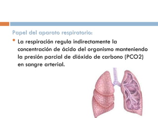 Papel del aparato respiratorio:
• La respiración regula indirectamente la
concentración de ácido del organismo manteniendo
la presión parcial de dióxido de carbono (PCO2)
en sangre arterial.

 