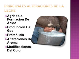 Principales alteraciones de la lecheAgriado o Formación De ÁcidoProducción De GasProteólisisAlteraciones Del AromaModificaciones Del Color
