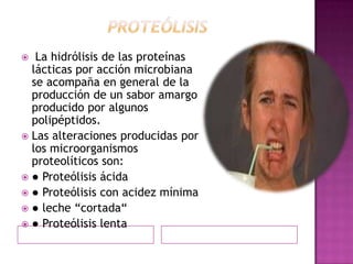 Proteólisis La hidrólisis de las proteínas lácticas por acción microbiana se acompaña en general de la producción de un sabor amargo producido por algunos polipéptidos.Las alteraciones producidas por los microorganismos proteolíticos son:● Proteólisis ácida● Proteólisis con acidez mínima● leche “cortada“ ● Proteólisis lenta 