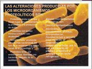 Las alteraciones producidas por los microorganismos proteolíticos son:● Proteólisis ácida en la que tienen lugar simultáneamente la proteólisis y la producción de ácido,● Proteólisis con acidez mínima e incluso con alcalinidad,● leche “cortada“ producida por enzimas bacterianas del tipo de la renina en una etapa inicial de la proteólisis, y● Proteólisis lenta  por endoenzimas  liberadas por bacterias después de su autólisis.Algunos microorganismos proteolicos son:bacillus fermentadores micrococcus, pseudomonas, proteus, achromobacter, flavobacteriumyserratia estas especies se desarrollan a temperaturas bajas  por lo que son capaces de producir proteólisis y amargor aún en leche refrigerada.
