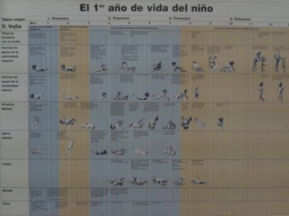 Motricidad espontánea
 