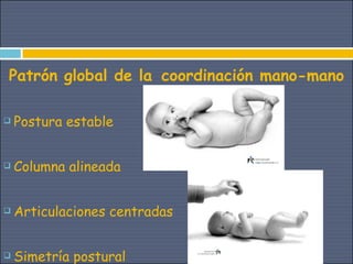 Patrón global de la coordinación mano-mano

   Postura estable


   Columna alineada


   Articulaciones centradas


   Simetría postural
 