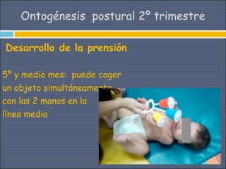 Ontogénesis postural 2º trimestre

Desarrollo de la prensión

5º y medio mes: puede coger
un objeto simultáneamente
con las 2 manos en la
línea media
 