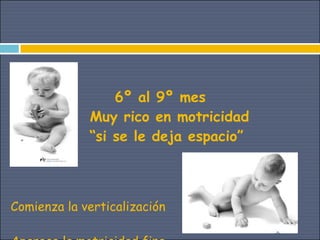 6º al 9º mes
             Muy rico en motricidad
             “si se le deja espacio”



Comienza la verticalización
 