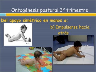 Ontogénesis postural 3º trimestre

Del apoyo simétrico en manos a:
                      b) Impulsarse hacia
                          atrás
 