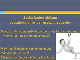 Sedestación oblicua
     descubrimiento del espacio superior

Mayor enderezamiento tronco a la vertical en el plano
 frontal con apoyo en mano/muslo



Moviliza el hombro por primera vez
más allá de los 120º.
Diferenciación completa de los dedos
 