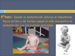 9ºmes: Desde la sedestación oblicua al impulsarse
 hacia arriba y de forma casual el niño encuentra la
 sedestación con las piernas estiradas
 