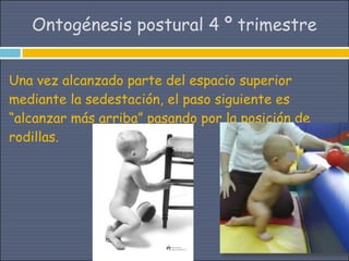 Ontogénesis postural 4 º trimestre


Una vez alcanzado parte del espacio superior
mediante la sedestación, el paso siguiente es
“alcanzar más arriba” pasando por la posición de
rodillas.
 