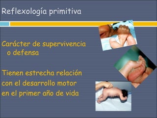 Reflexología primitiva



Carácter de supervivencia
 o defensa

Tienen estrecha relación
con el desarrollo motor
en el primer año de vida
 