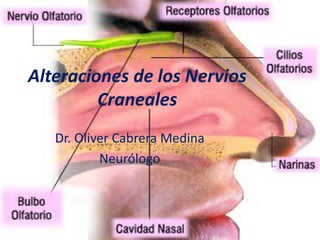 Alteraciones de los Nervios
Craneales
Dr. Oliver Cabrera Medina
Neurólogo
 